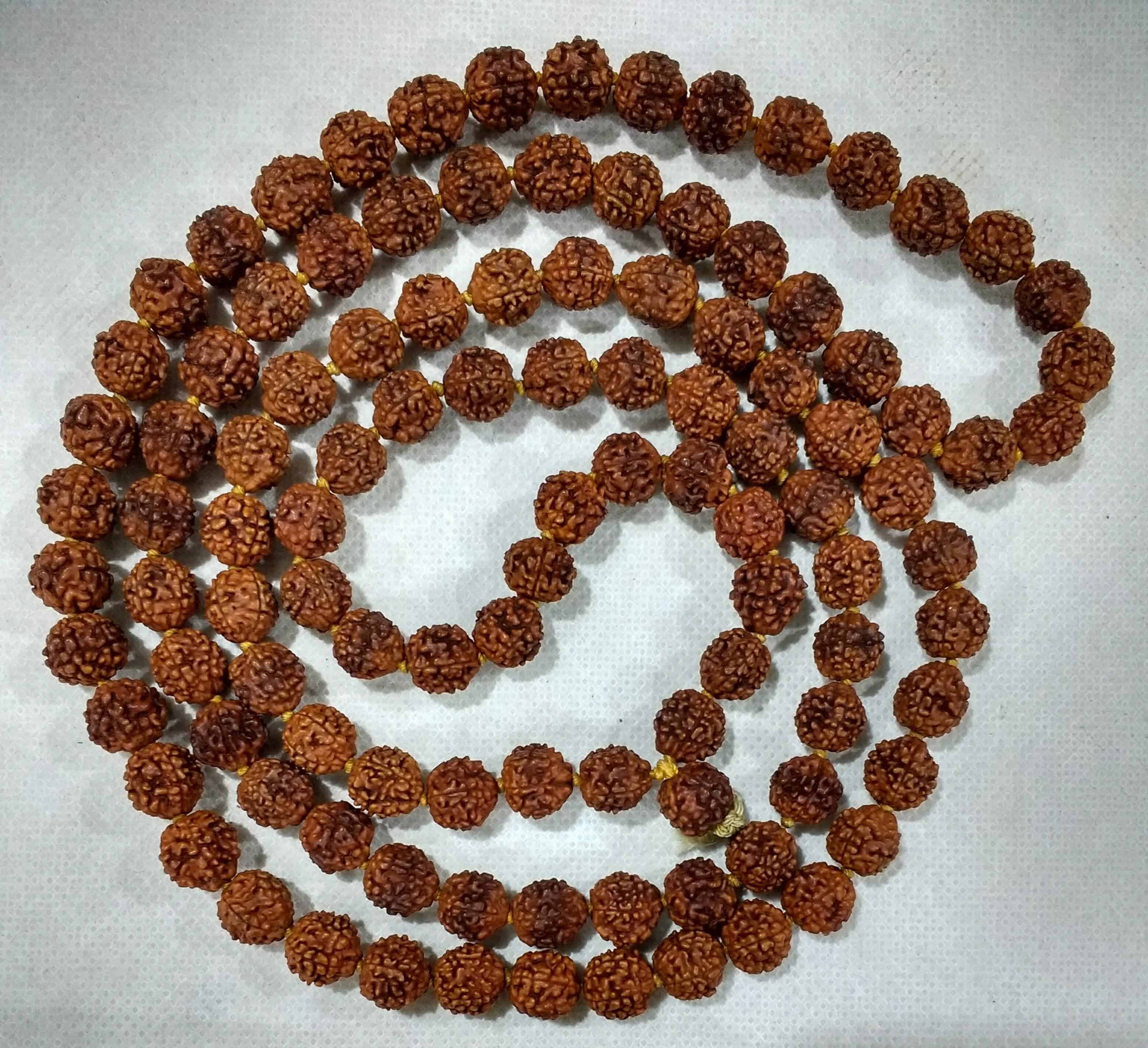 Rudraksha Report